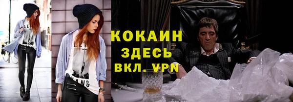 ГАЛЛЮЦИНОГЕННЫЕ ГРИБЫ Верея