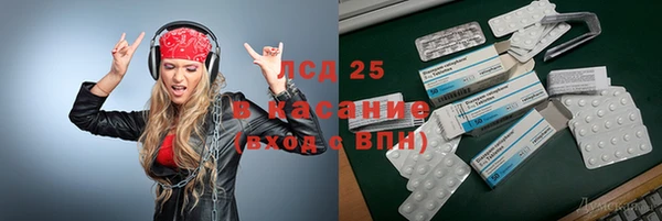 ГАЛЛЮЦИНОГЕННЫЕ ГРИБЫ Верея