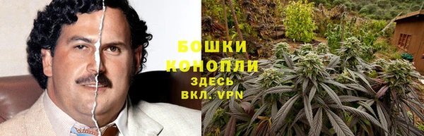 ГАЛЛЮЦИНОГЕННЫЕ ГРИБЫ Верея
