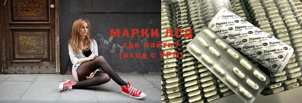 ГАЛЛЮЦИНОГЕННЫЕ ГРИБЫ Верея