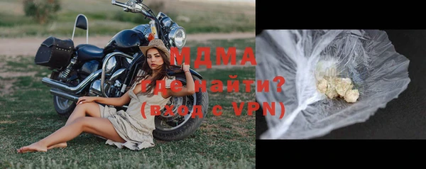 ГАЛЛЮЦИНОГЕННЫЕ ГРИБЫ Верея
